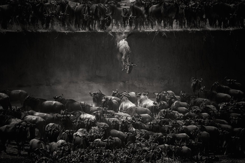 Лучшие чёрно-белые снимки фотоконкурса Siena International Photography Awards 20