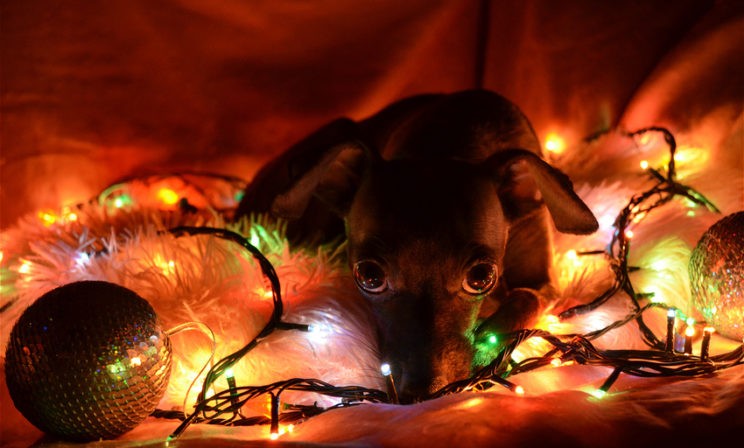 Новый год – грустный праздник?