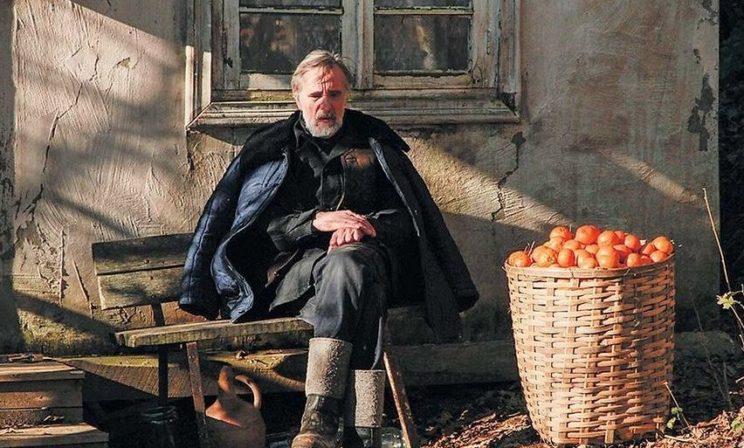 «Мандарины» – смотреть всем воюющим в соцсетях