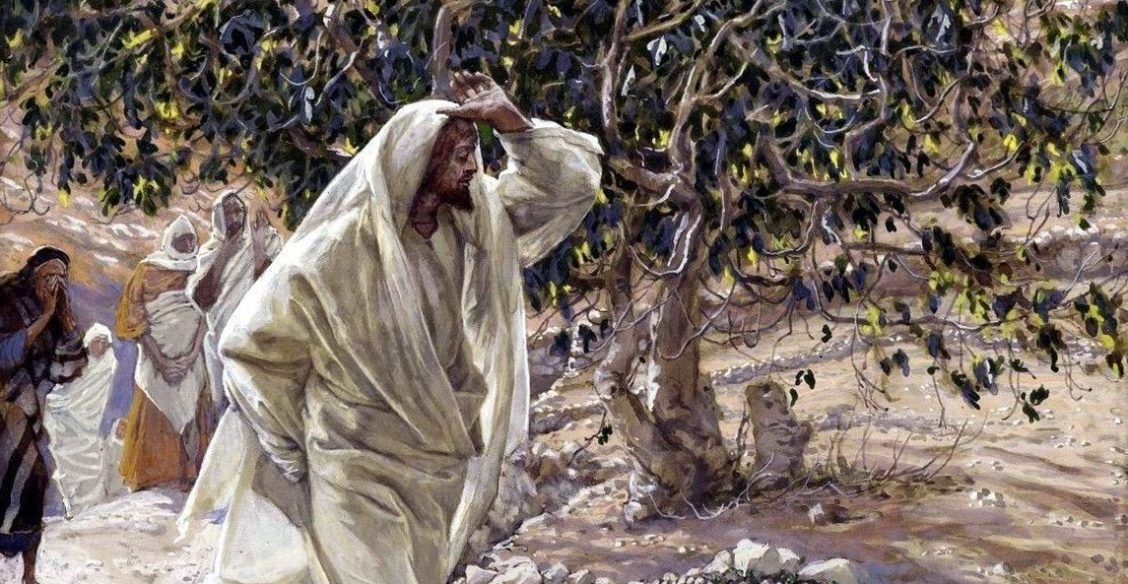 Смоковница Великого Понедельника