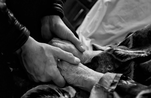 Фото: Сергей Анашкевич