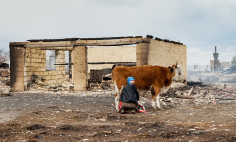Сибирь в огне. Как помочь и как не надо помогать пострадавшим