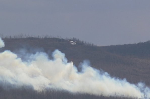 Фото: news.chita.ru /Александр Смоленков