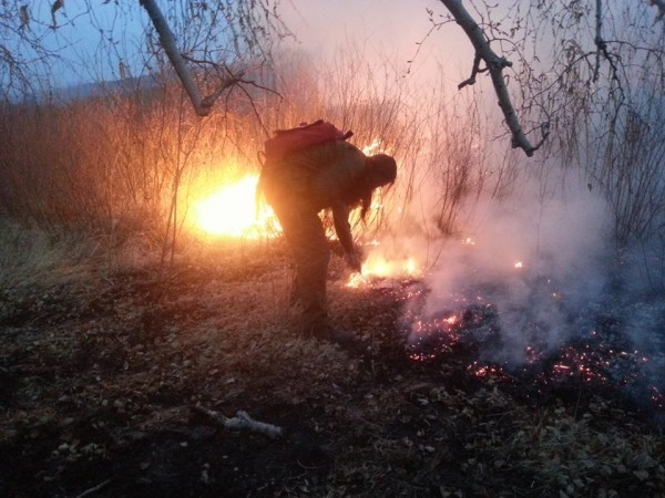 10404285_1582220408698847_4844573899038249315_n