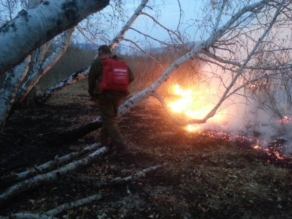 10997995_1582220288698859_8093361045574703160_n