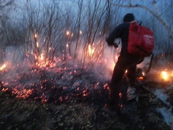 11020245_1582220272032194_698059468905109790_n