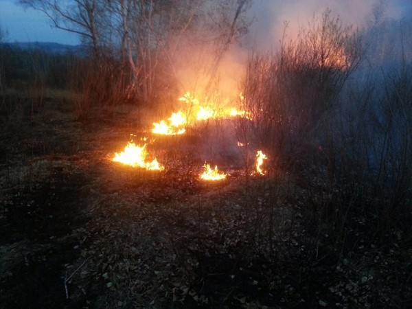 11111798_1582220118698876_1208488424128503626_n