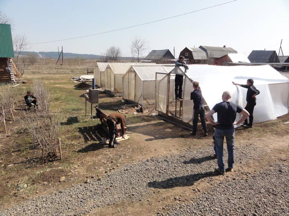 многодетный фермер