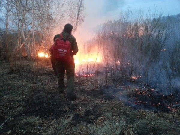 11209487_1582220228698865_760165017266346297_n