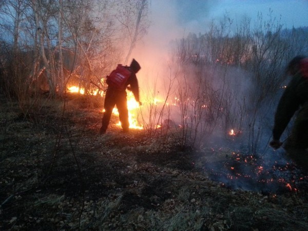 11220818_1582220128698875_1793584214749409311_n