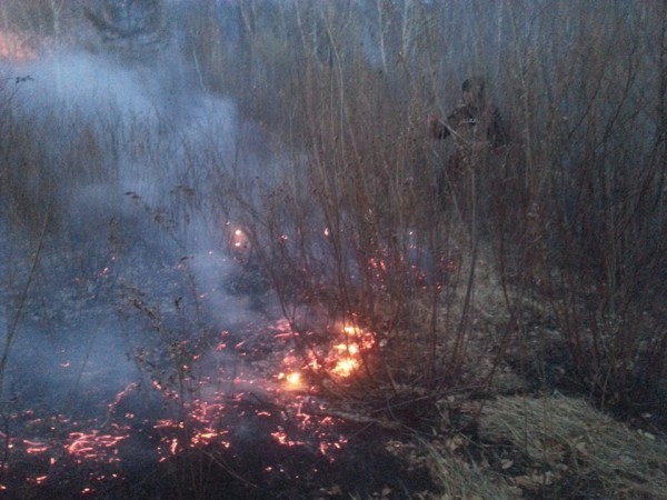 11252598_1582220148698873_3269802219298868687_n