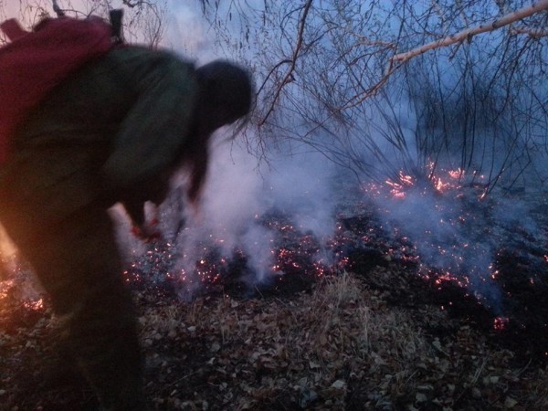 11263974_1582220415365513_7390671796200543133_n