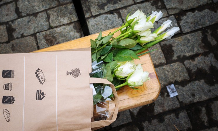 Белый цветок: там, где не было дождя (+ФОТО)