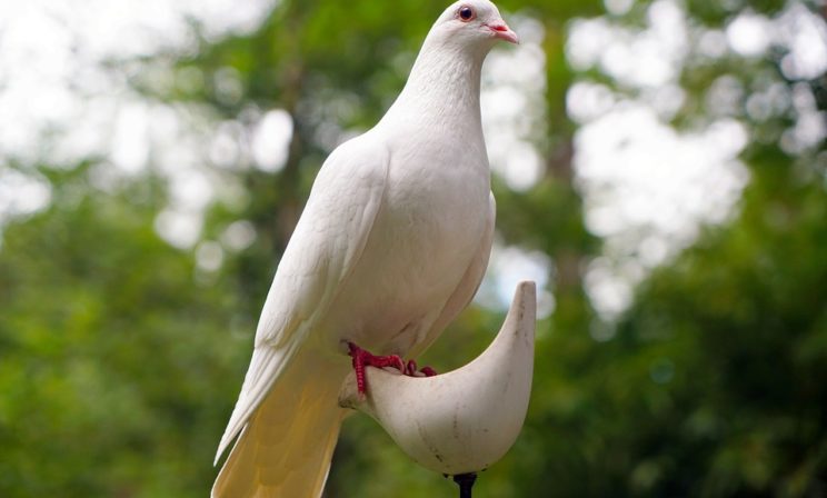 Молитва Царю Небесный