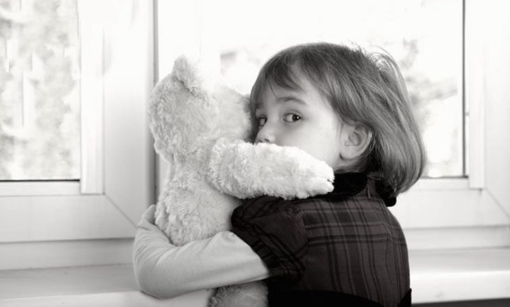 Елена Альшанская: О шестнадцати кошках, «плохих» и «хороших» семьях и проблемах опеки