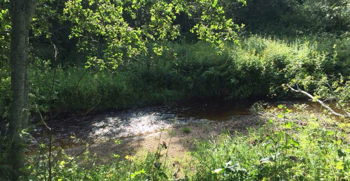 Архангелово чудо в Архангельской области