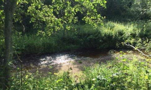 Архангелово чудо в Архангельской области