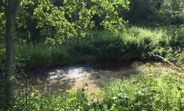 Архангелово чудо в Архангельской области