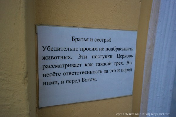 0_1122ec_bd3003a9_XXL