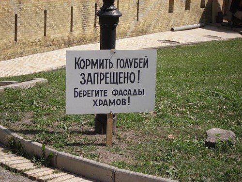 kormit-golubey-zapresheno