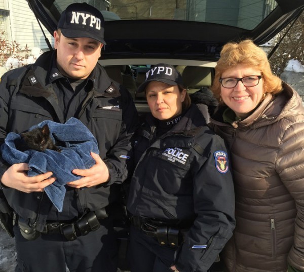 26kitten-master675-v2