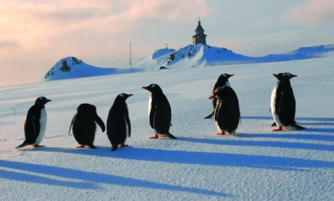 Крещение в Антарктиде