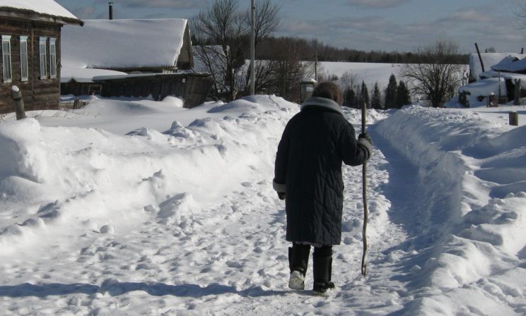 А лечит питерцев ветеринар