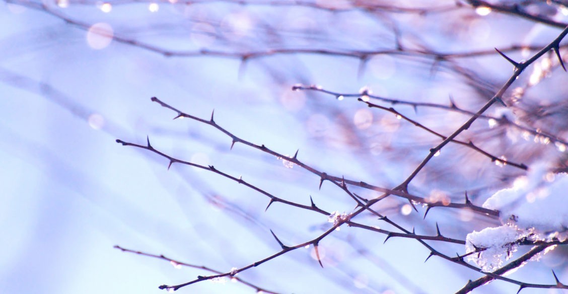 Священник Андрей Мизюк: Последний день зимы - уйти от смерти