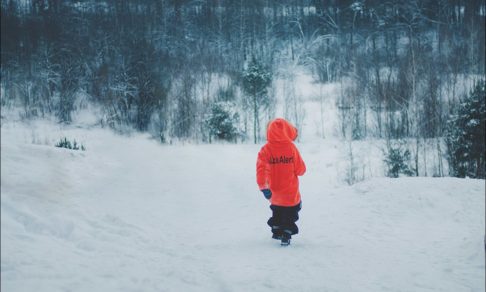 Памятка ребенку: что делать, если заблудился в лесу?