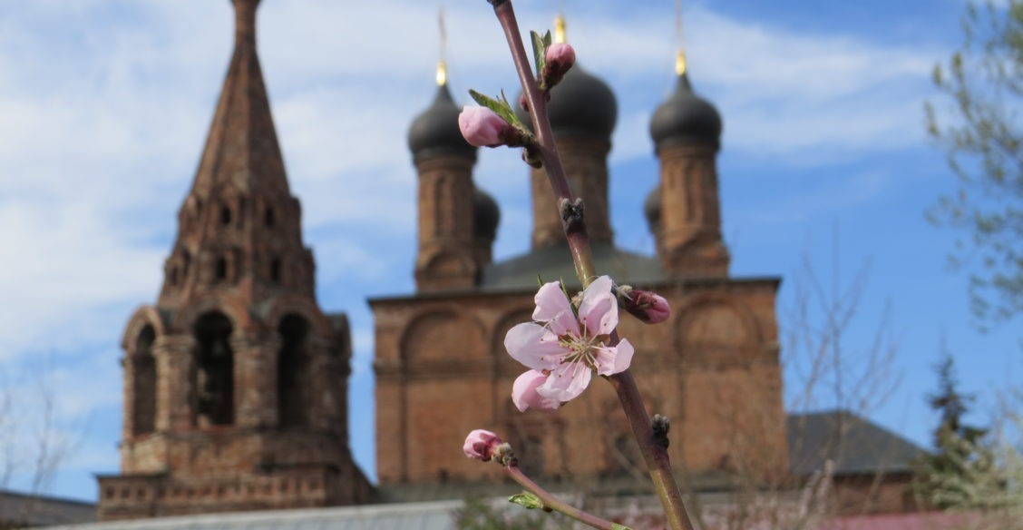 Персик в цвету – о Субботе Покоя: под горестные вопли адских стражей...