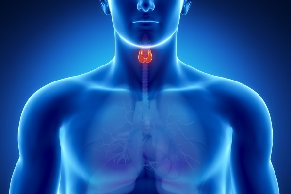 Длительность лечения щитовидной железы thumbnail