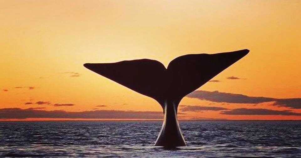 Подростковый суицид: слово экспертам