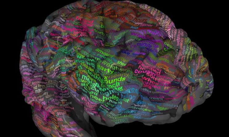 Атлас мозга человека – как это работает?