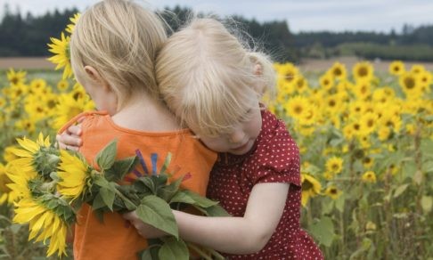 Как я съездила на Украину, или Кругом враги!