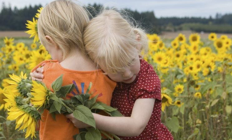 Как я съездила на Украину, или Кругом враги!
