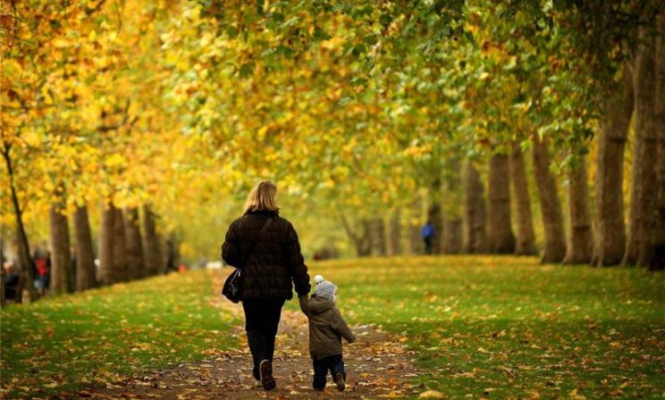 Минус один аборт