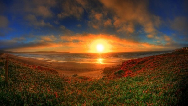 kartinkijane.ru-30175