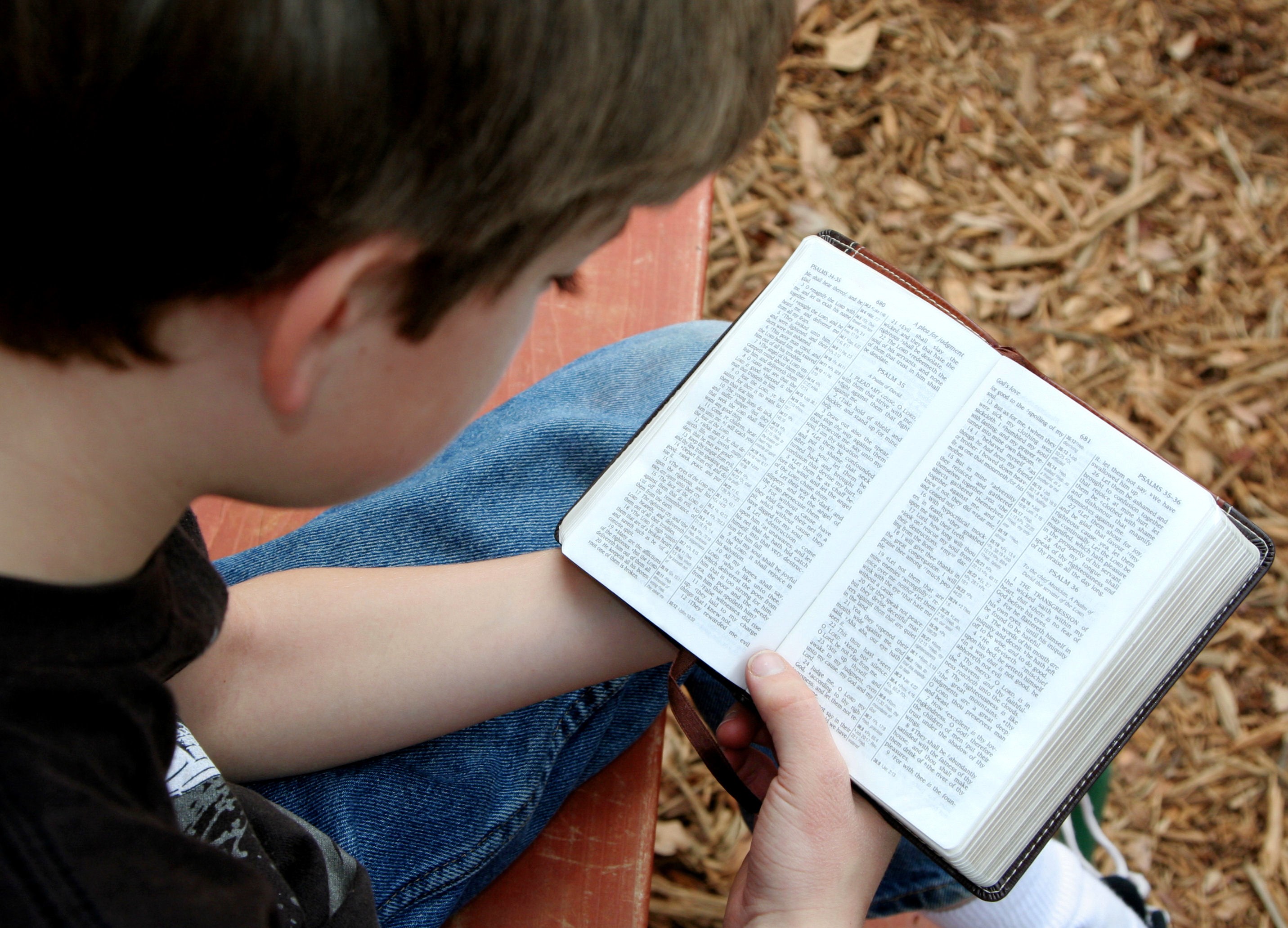Читаем смотрим едим. Чтение Библии. Человек читает Библию. Подростки с Библией. Библия в руках.