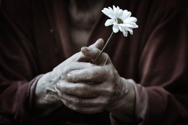 Фото с сайта AdMe.ru