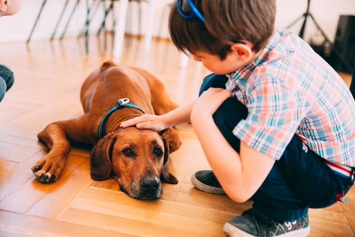 Cara Melatih Anjing Kencing di Luar Rumah: 13 Langkah