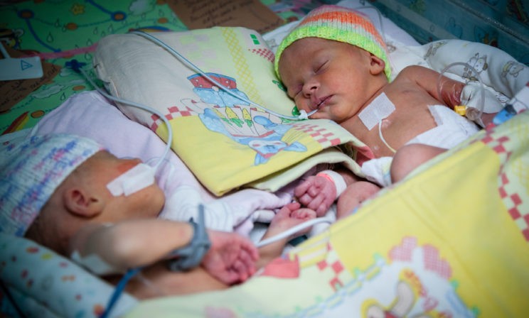 Жизнь на ладошке