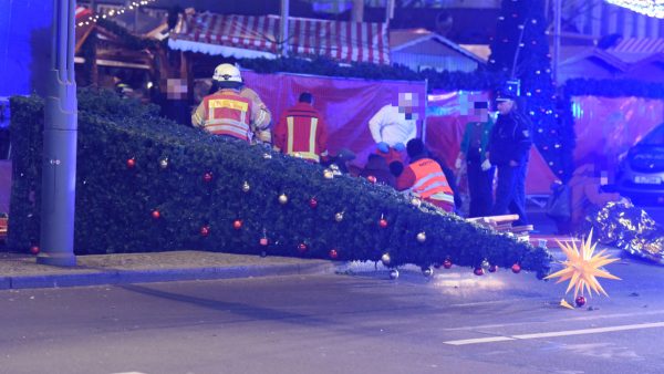 Фото: spreepicture/bild.de