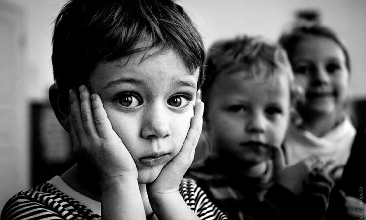 Из-за вас у меня не будет щенка!