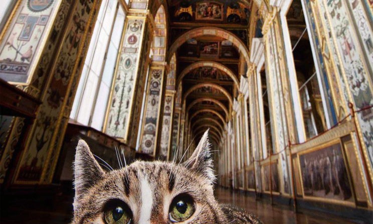 Что в Эрмитаже не покажут? (тест)