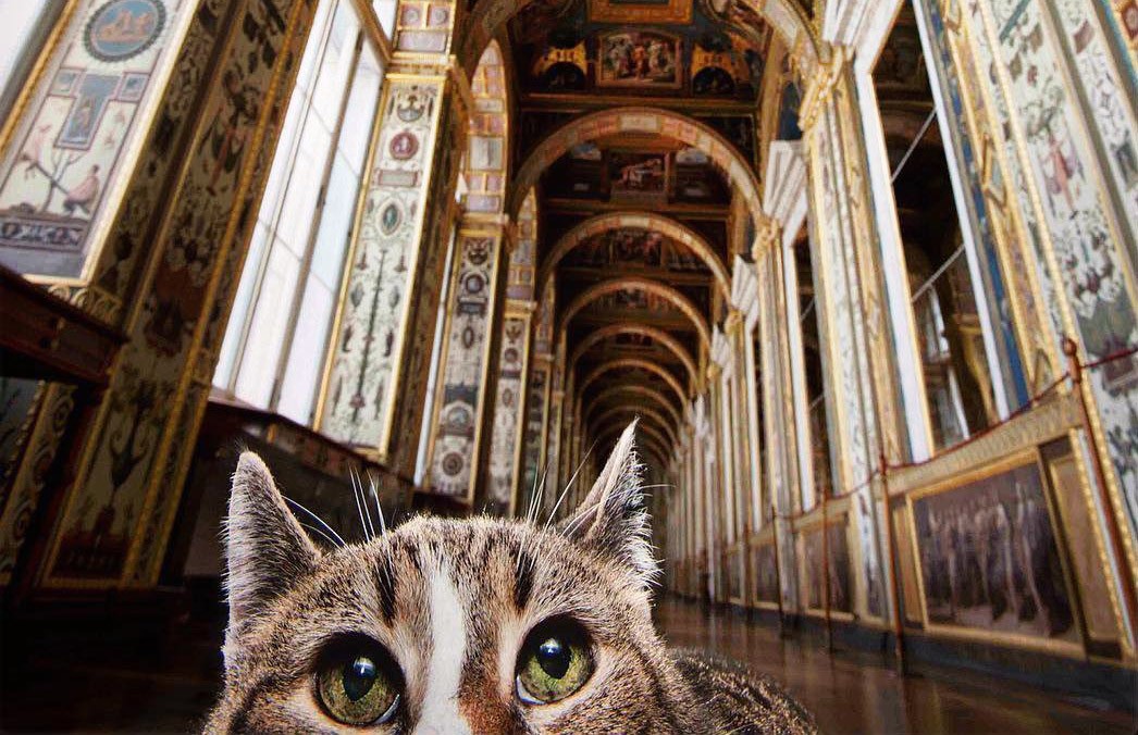 Pin on Buster & Coco Hermitage museum, Hermitage, Cats