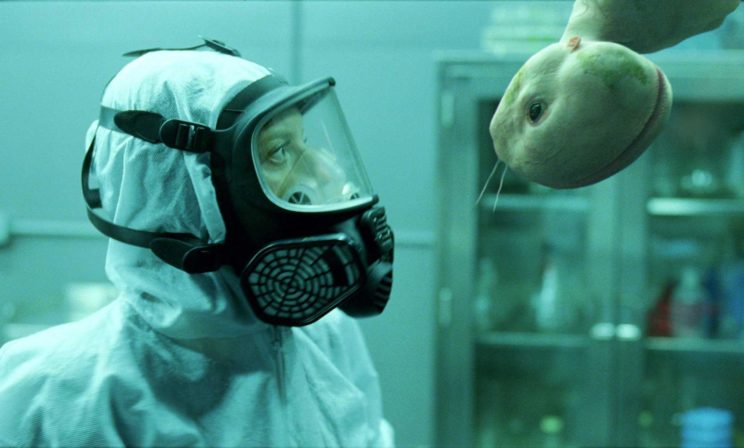 Человекосвинья как последнее достижение науки