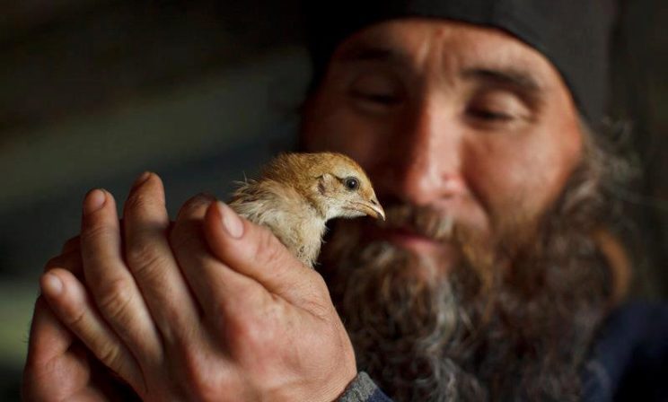 Архимандрит Андрей (Конанос): Православие не душит, им дышат