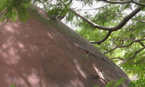 «Все сплотились»: после землетрясения в Мексике русская община собирает деньги на восстановление православного храма