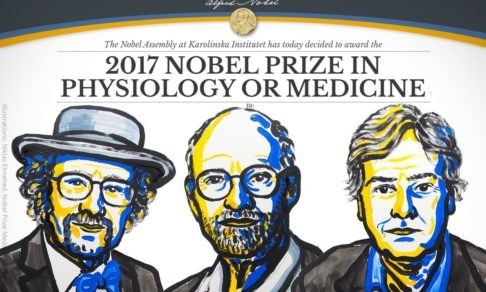 Нобелевская премия за биоритмы - что открыли три американца
