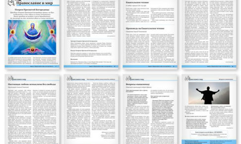 Православная стенгазета № 41(408)